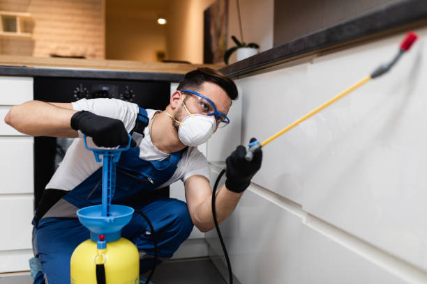 Best Best Pest Control Companies  in Apache Junction, AZ